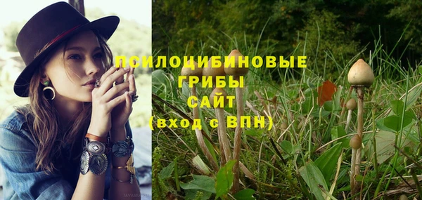 прущие грибы Алзамай