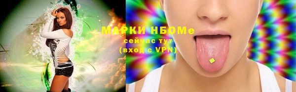 прущие грибы Алзамай