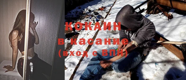 прущие грибы Алзамай