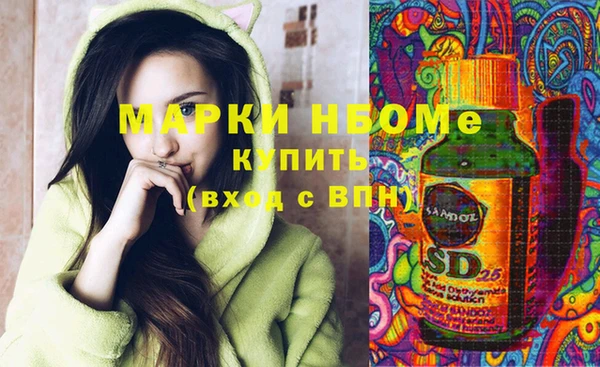 прущие грибы Алзамай