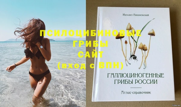 дурь Алексеевка