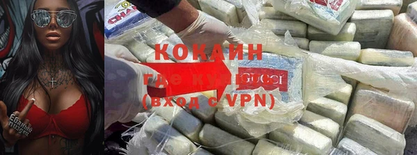 прущие грибы Алзамай