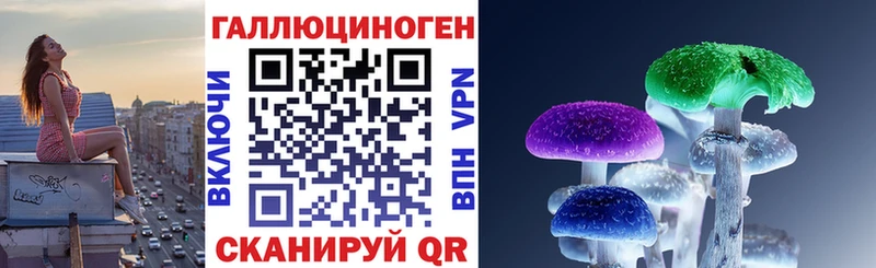 Галлюциногенные грибы GOLDEN TEACHER  ссылка на мегу зеркало  Киселёвск  где купить наркоту 